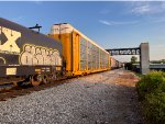 TTGX 853652